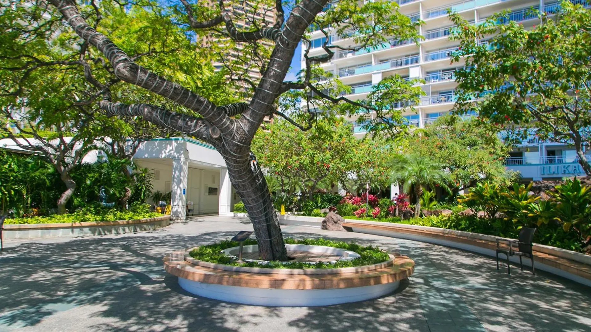 Ilikai Tower 410 Διαμέρισμα Χονολουλού